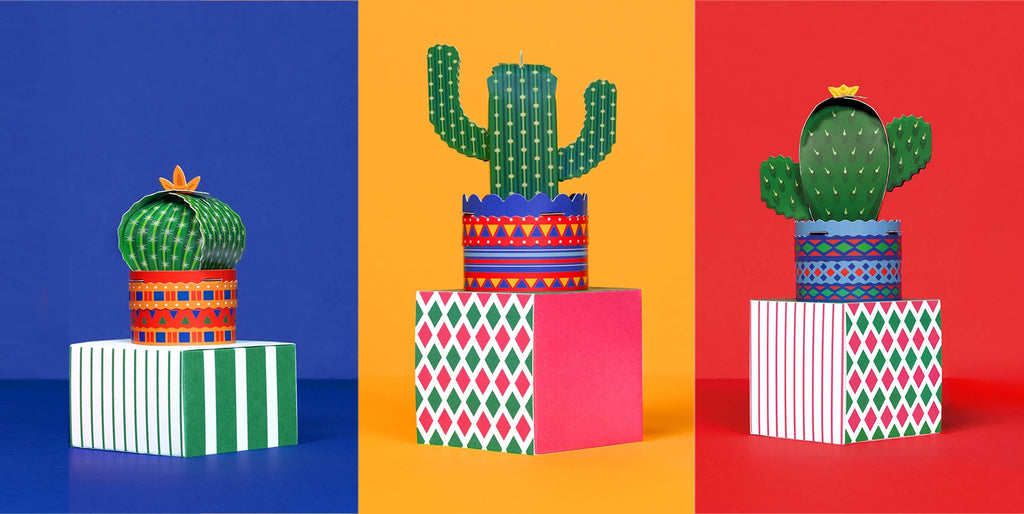 Create Your Own Quirky, Cheeky & Cute Little Cactus!