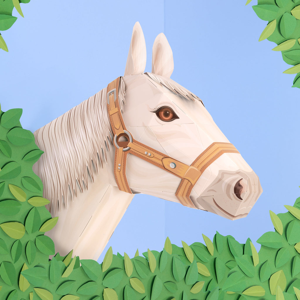 New Products Now Available!