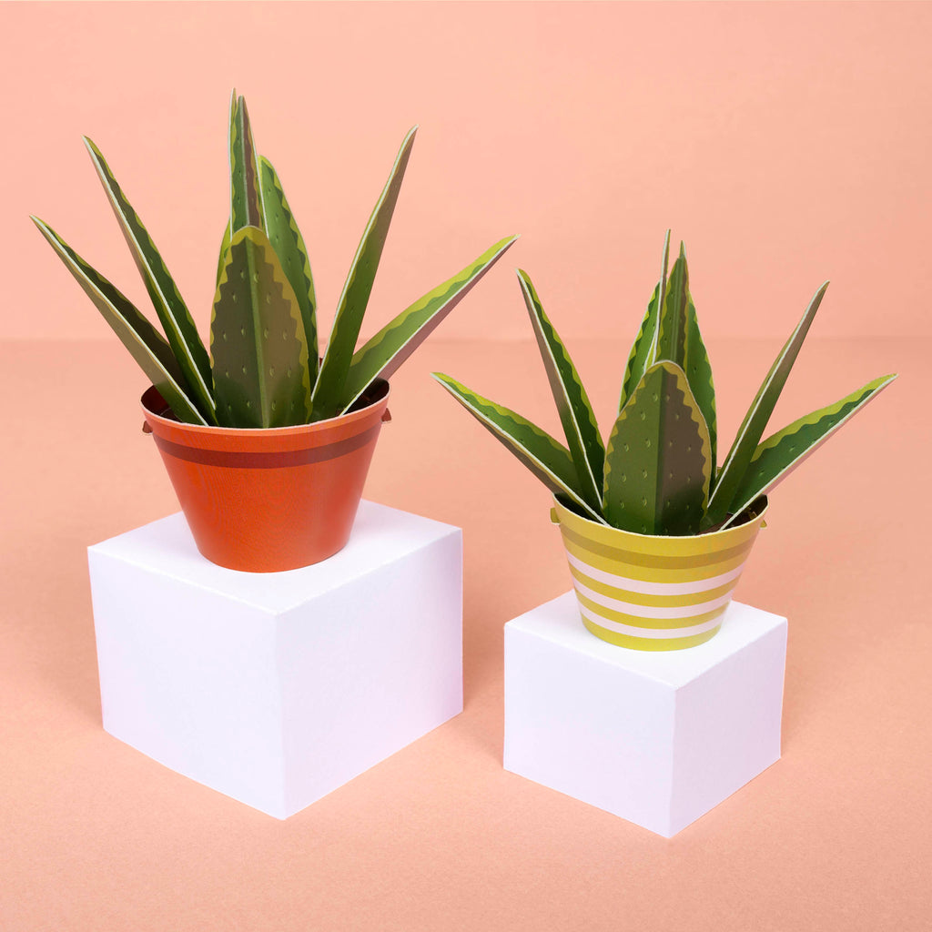 Make Your Own Mindful Aloe Vera - Clockwork Soldier