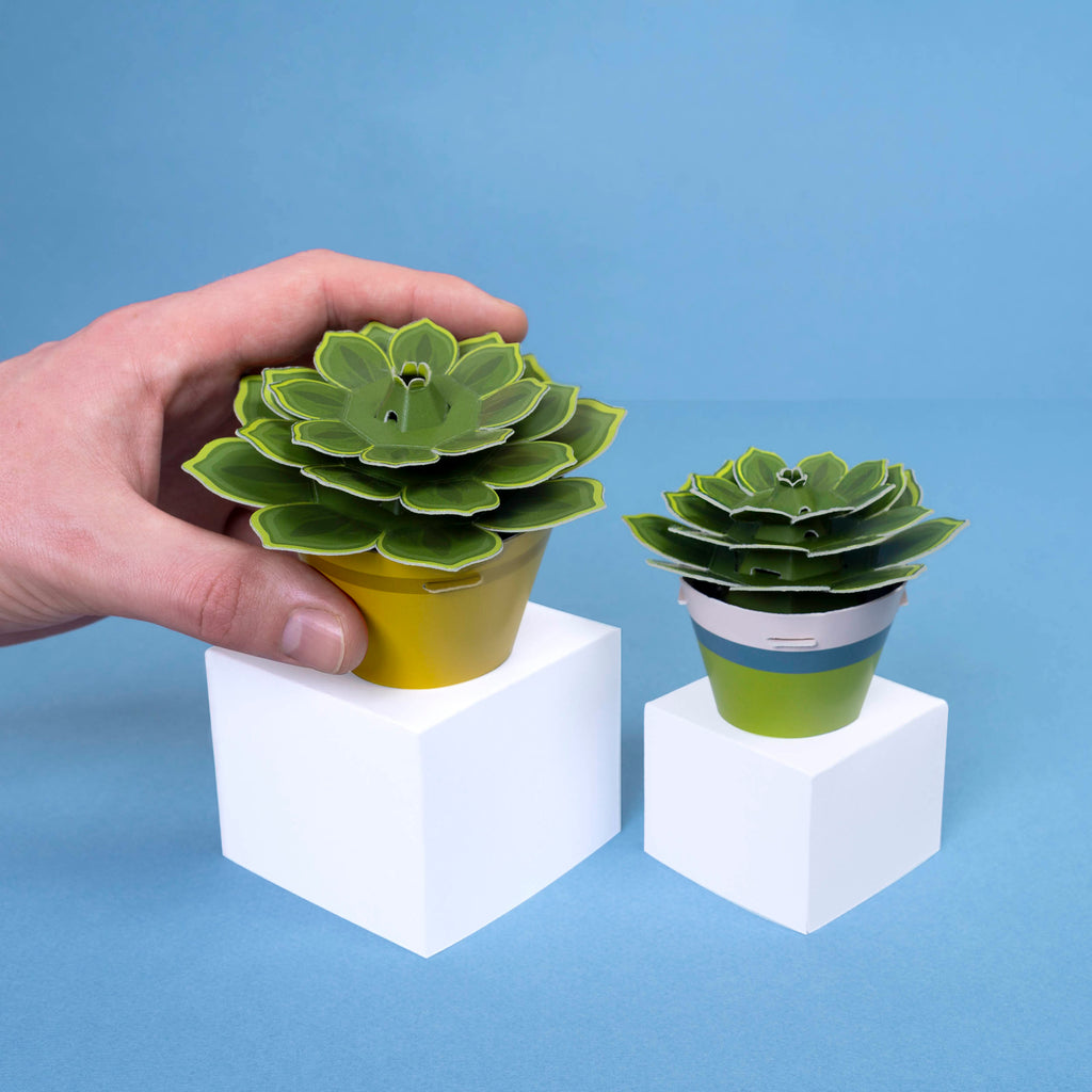 Make Your Own Mindful Succulent - Clockwork Soldier